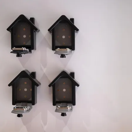 Rose Des Vents Eguisheim